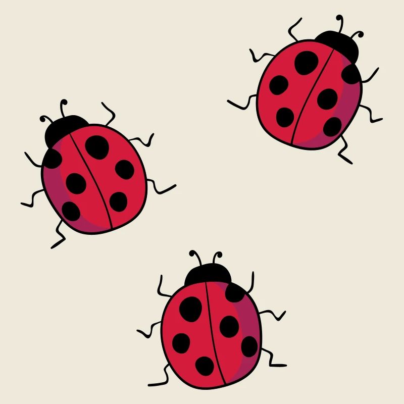 ladybug