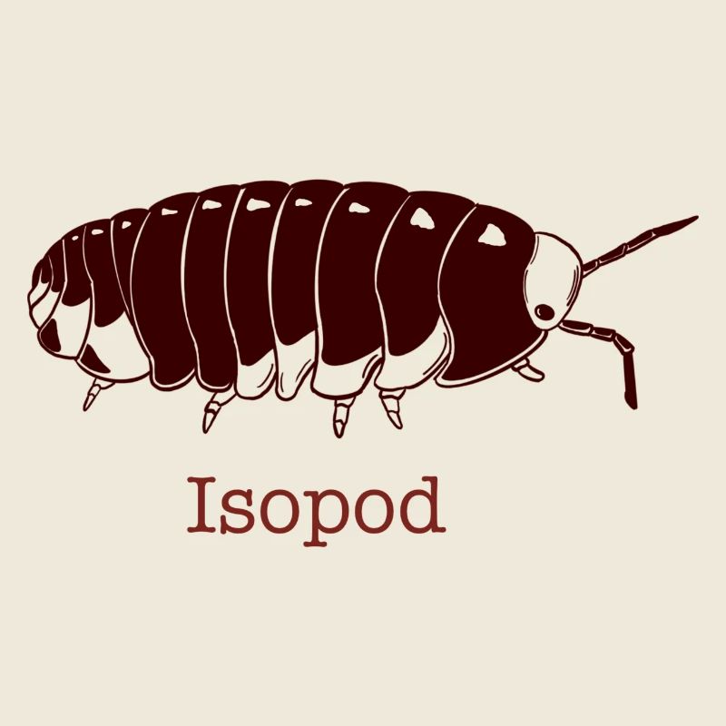 Isopod