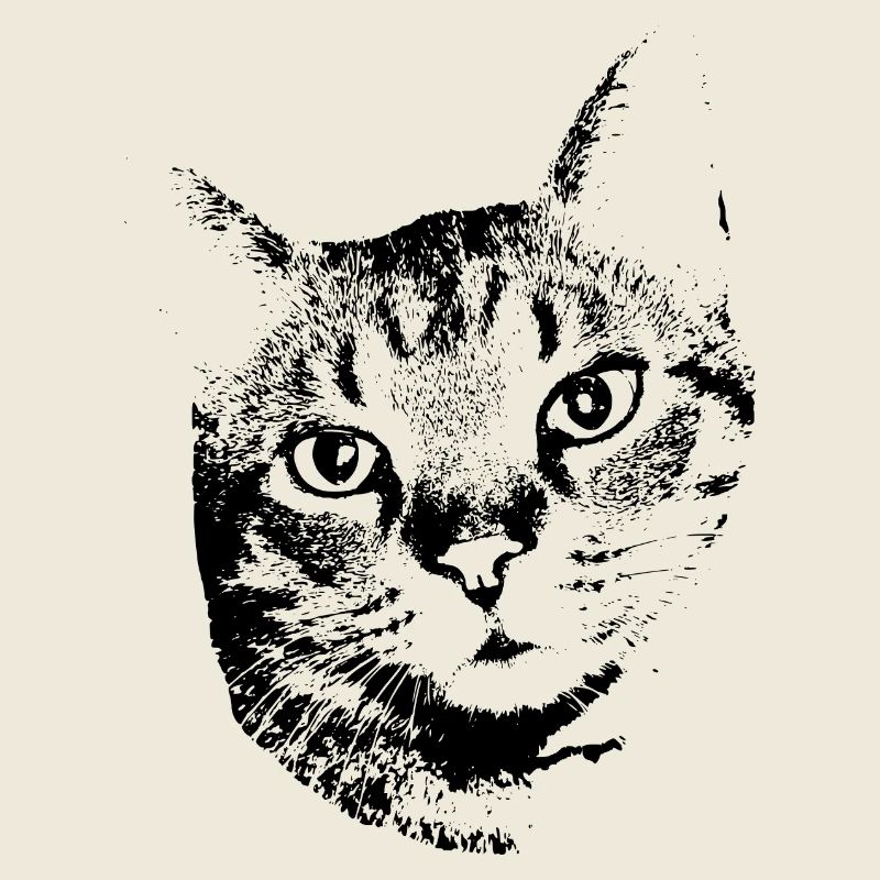 Katze Kätzchen Katzenshirt Geschenk