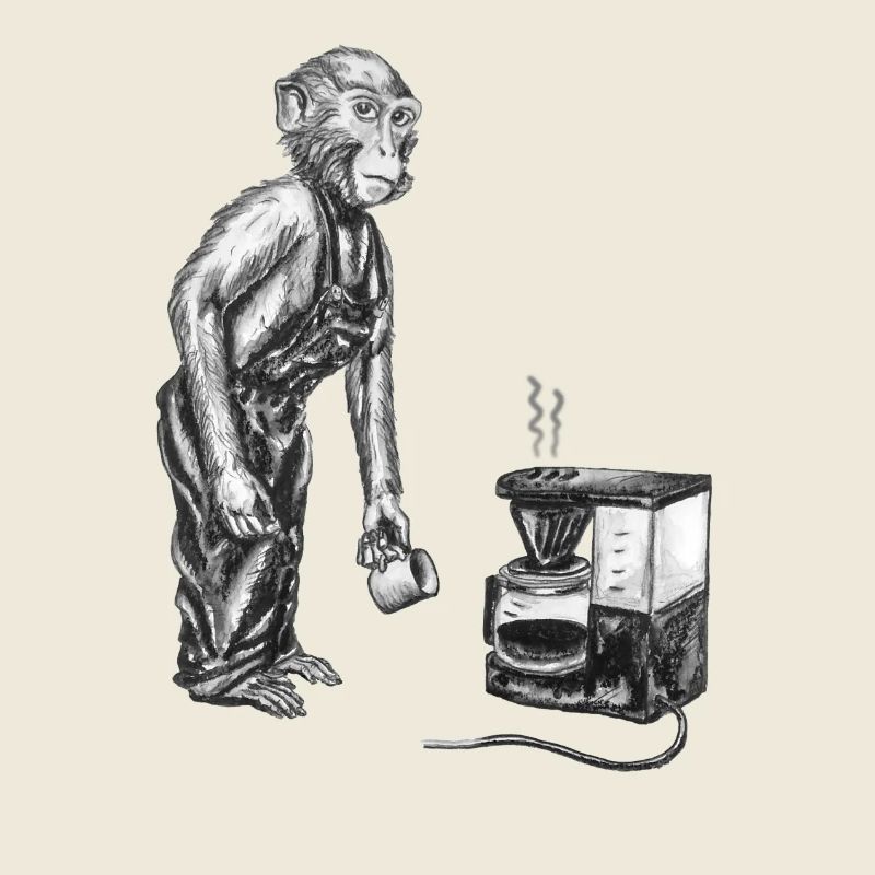 Monkey and coffee