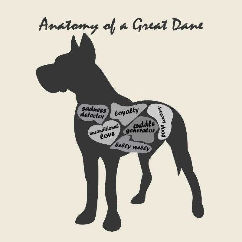 ANATOMIE D’UN DOGUE ALLEMAND