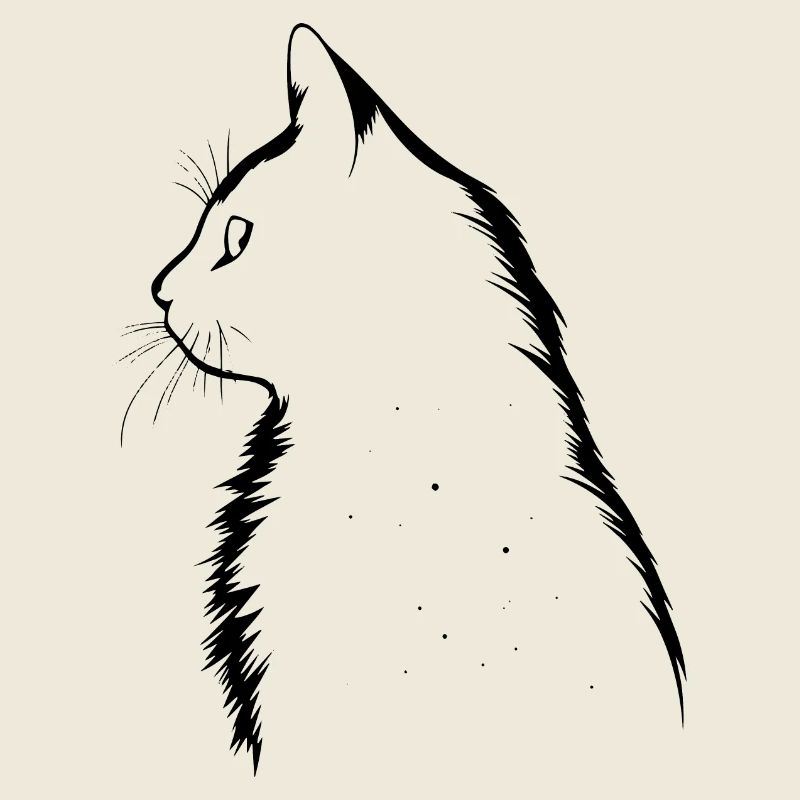 Chat, Motif De Chat