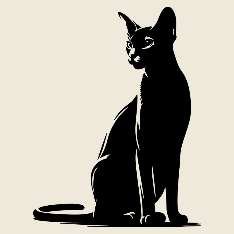 Abyssinian Cat