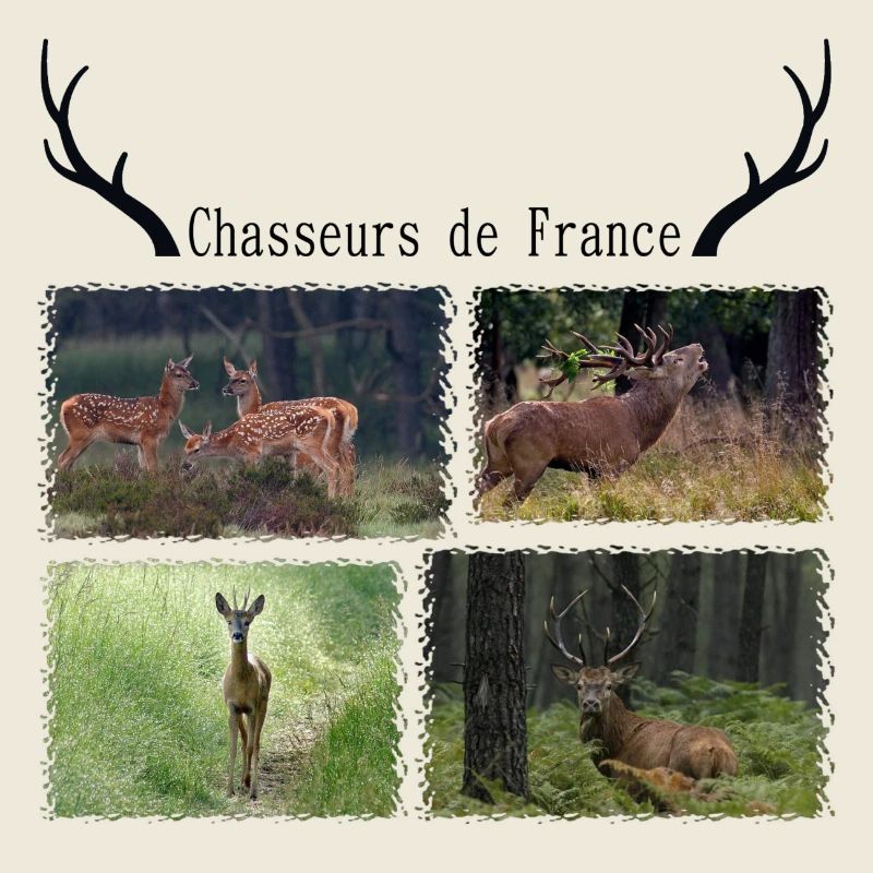 chasse