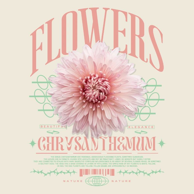 Chrysantheme Chrysanthemen