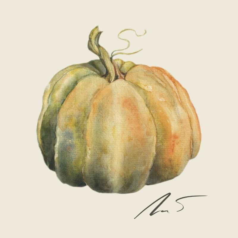 Musquée de Provence pumpkin