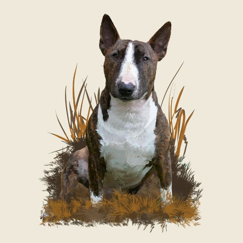 Bullterrier