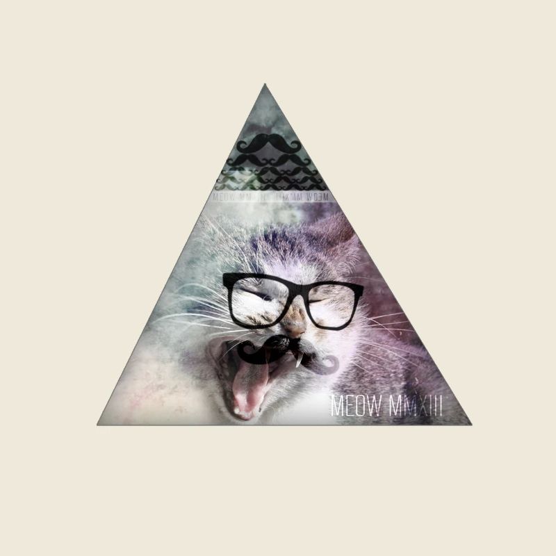 Triangle Monster Moustache Cat
