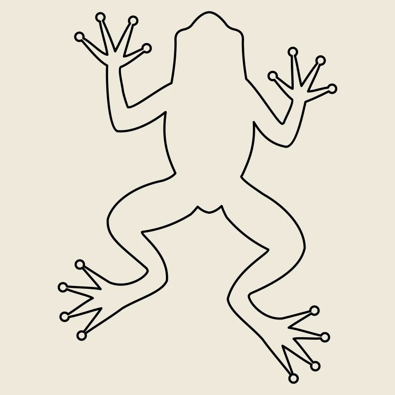 Grenouille crapaud