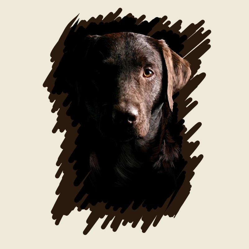 Labrador