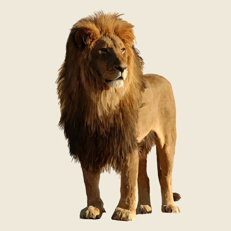 lion