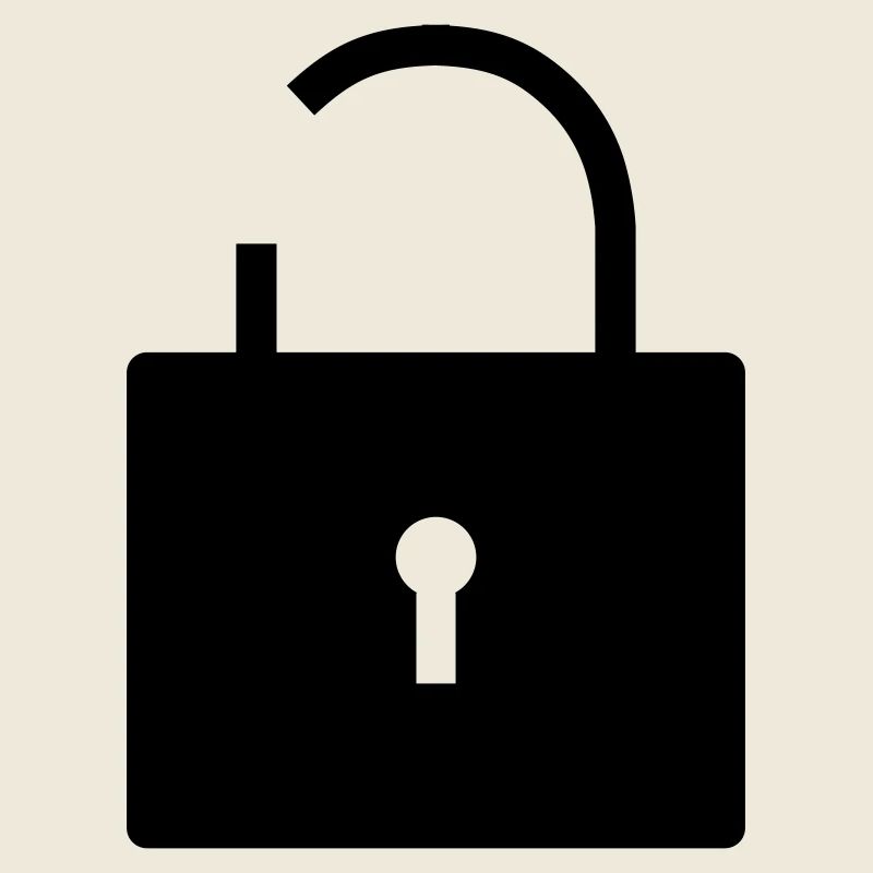 No security no security open lock lock