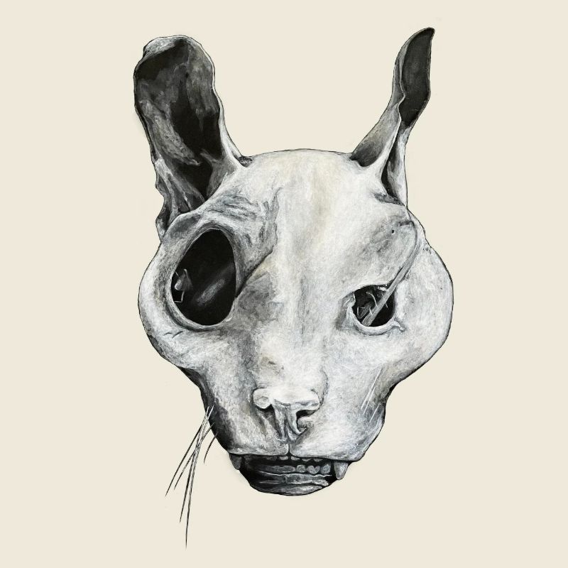 THE GHOST CAT
