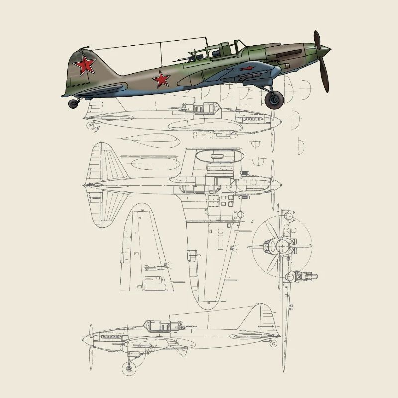 IL-2