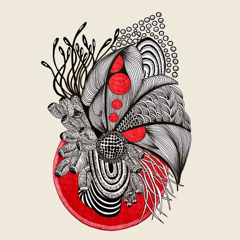 Plante de la ligne des orbes rouges