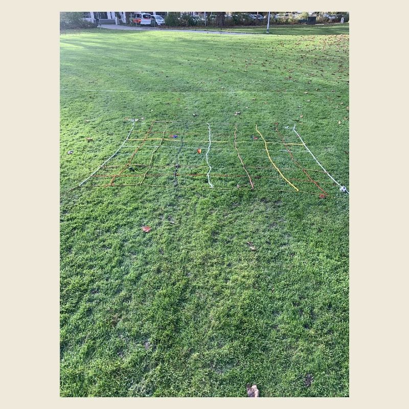 Grille d’herbe éclatante de couleurs