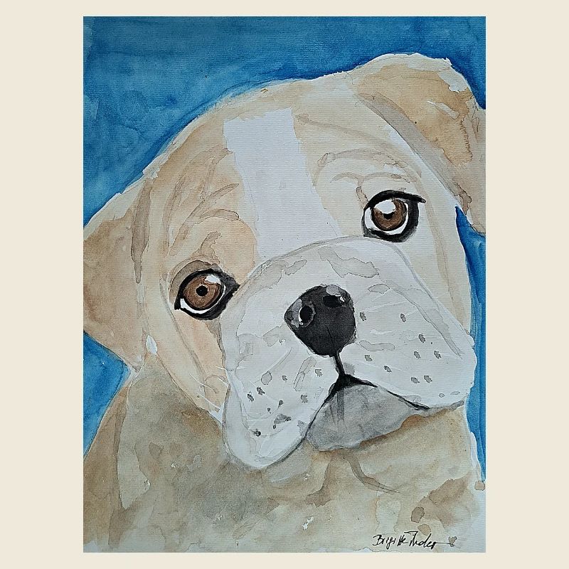 Bouledogue, Aquarelle, Chiot