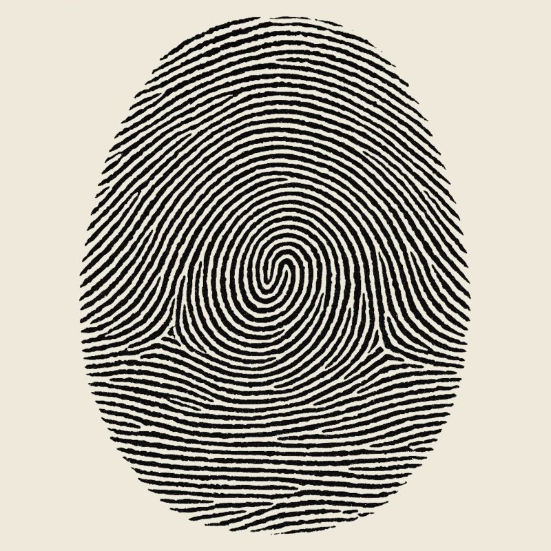 Fingerabdruck-Muster der Identität