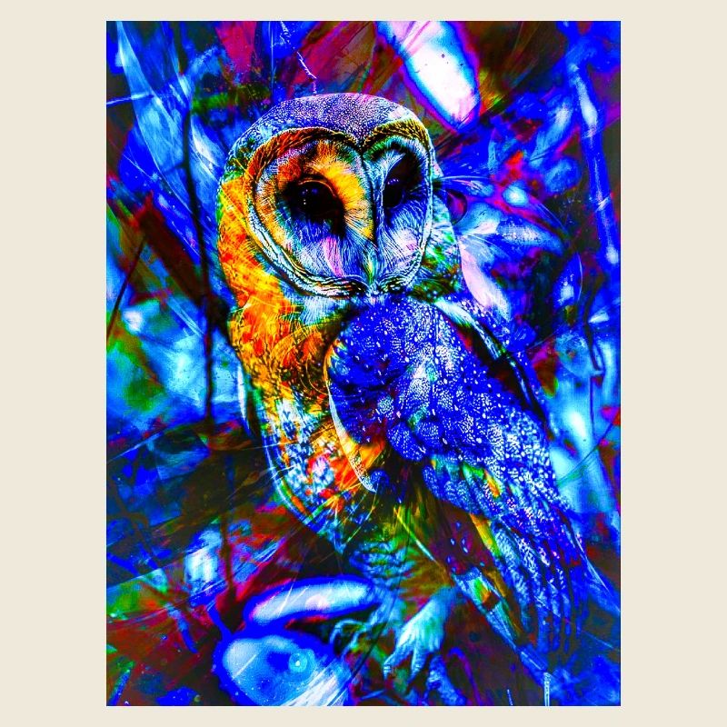 Neon Owl in Psychedelic Light