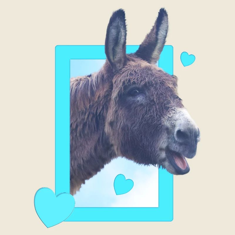cute donkey at the window blue hearts