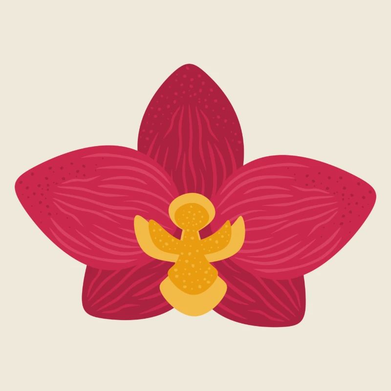 Orchid Flower