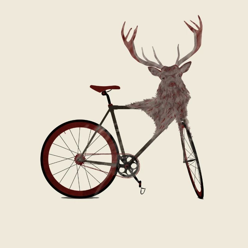 Stag vélo