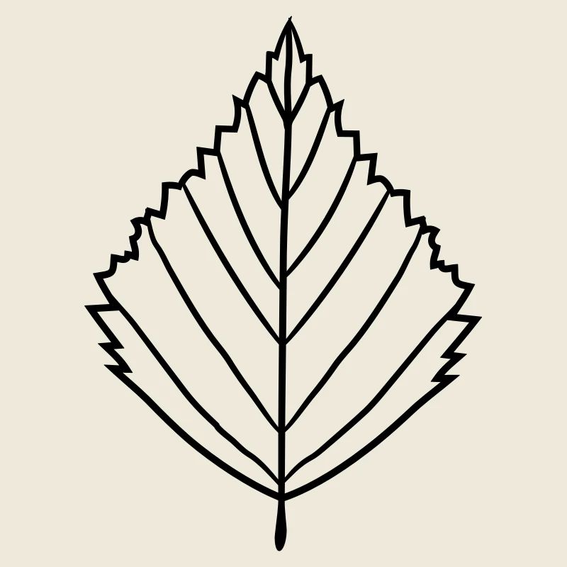 silhouette bouleau feuille arbre plante forme clipart desig