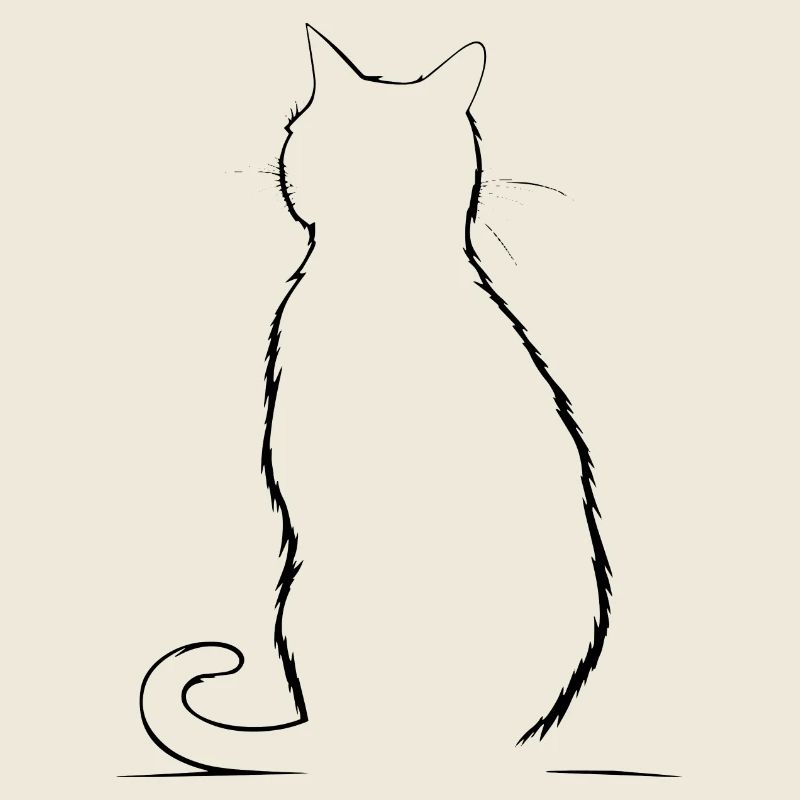 Chat, Motif De Chat
