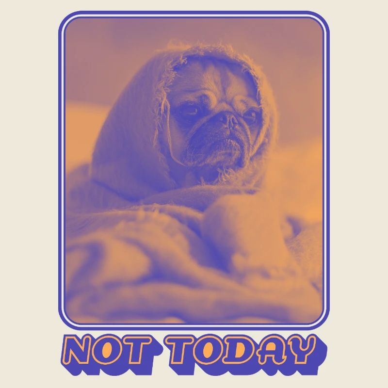 Pas aujourd’hui – Vibrations de carlin fatigué