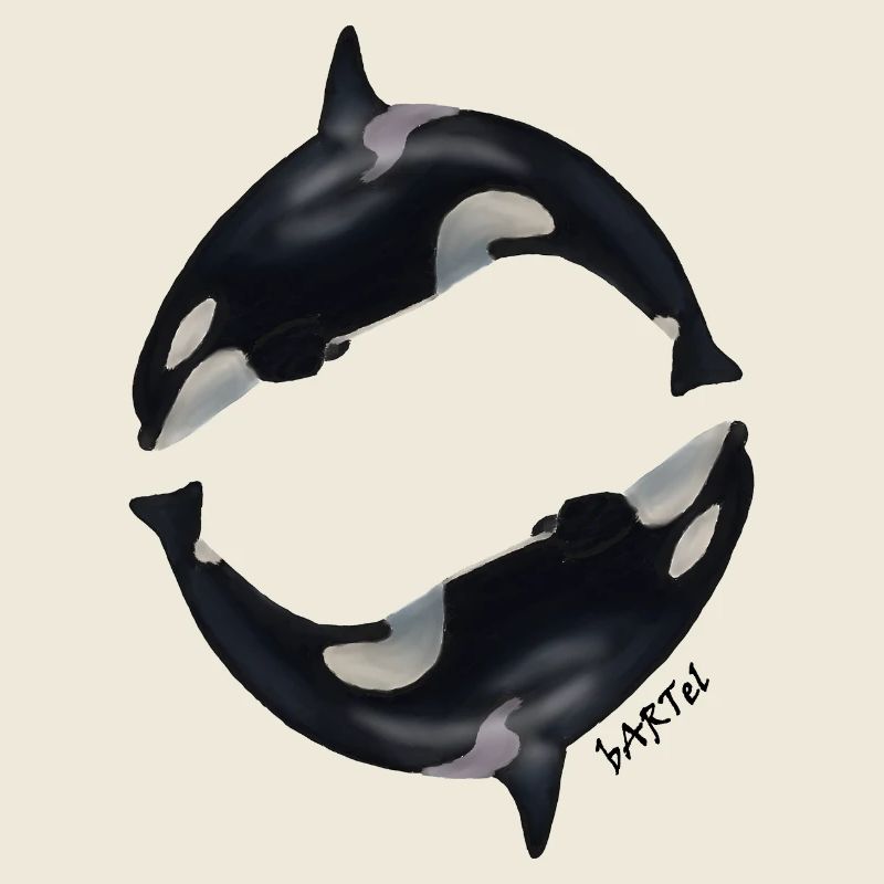 Orca1