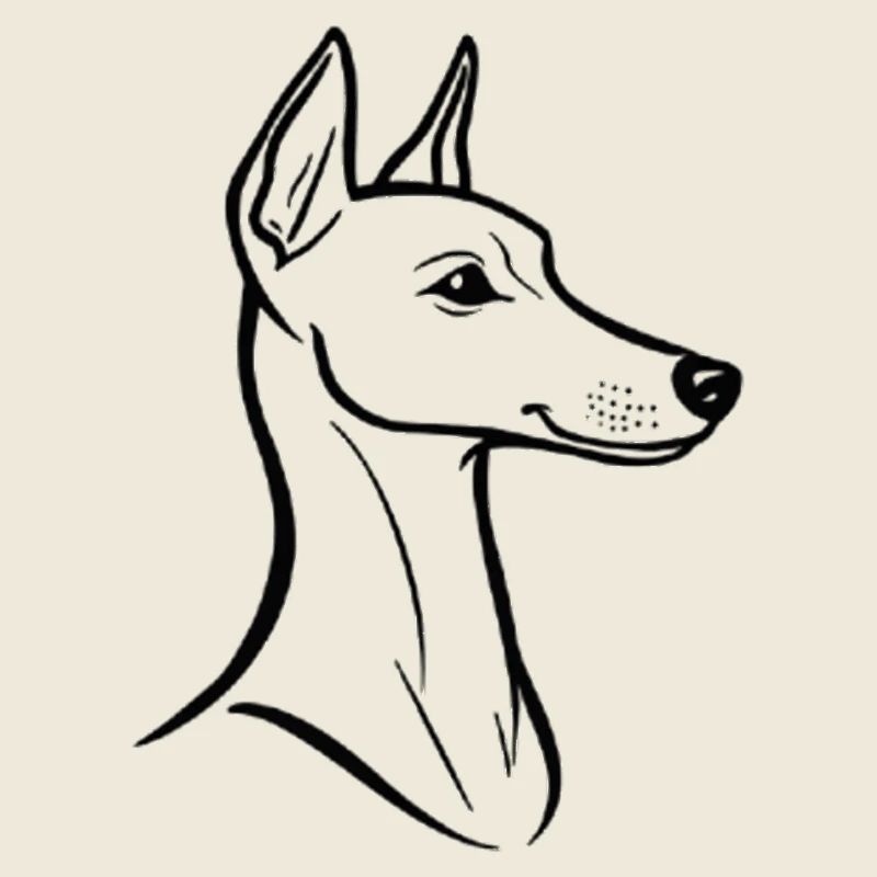 Art au trait minimaliste Whippet - Design élégant de chien