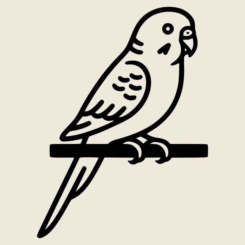 Perruche Animal de compagnie