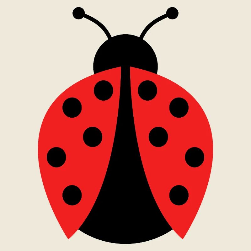 coccinelle