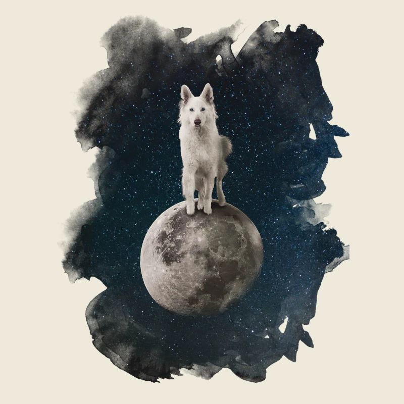 Loup mystique