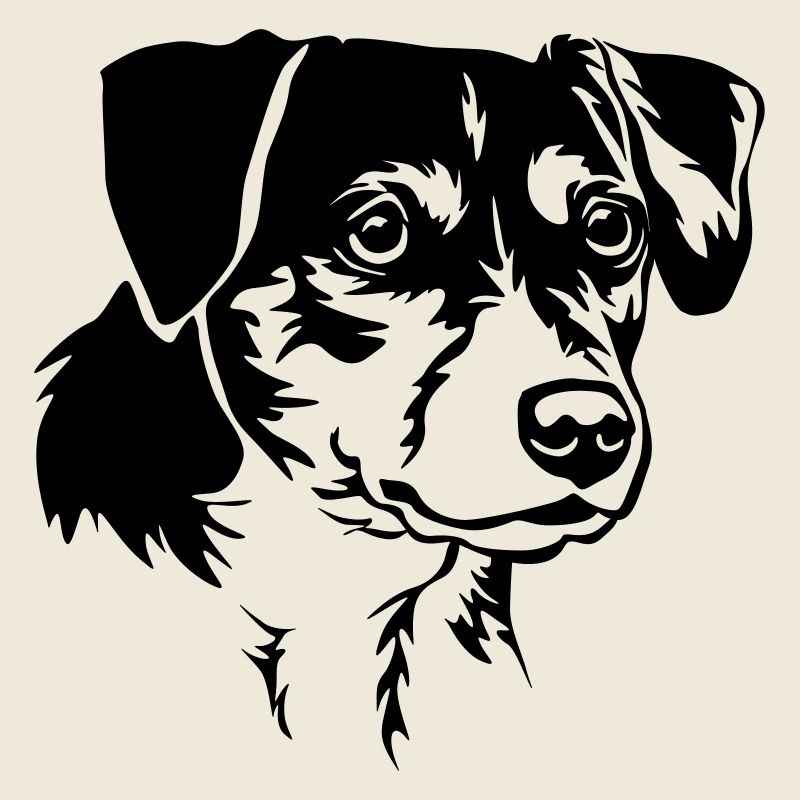 Dansk Svensk Gaardhond Kopf