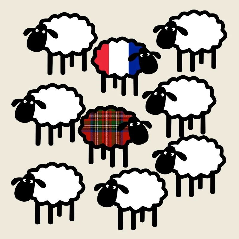 Moutons français et écossais