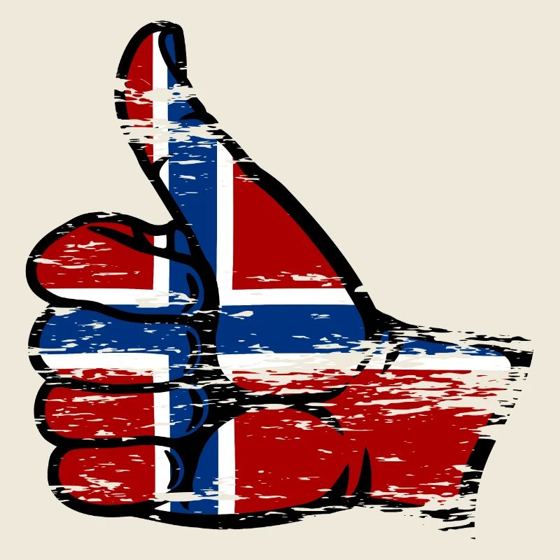 Drapeau de la Norvège tous les symboles clairs utilisés