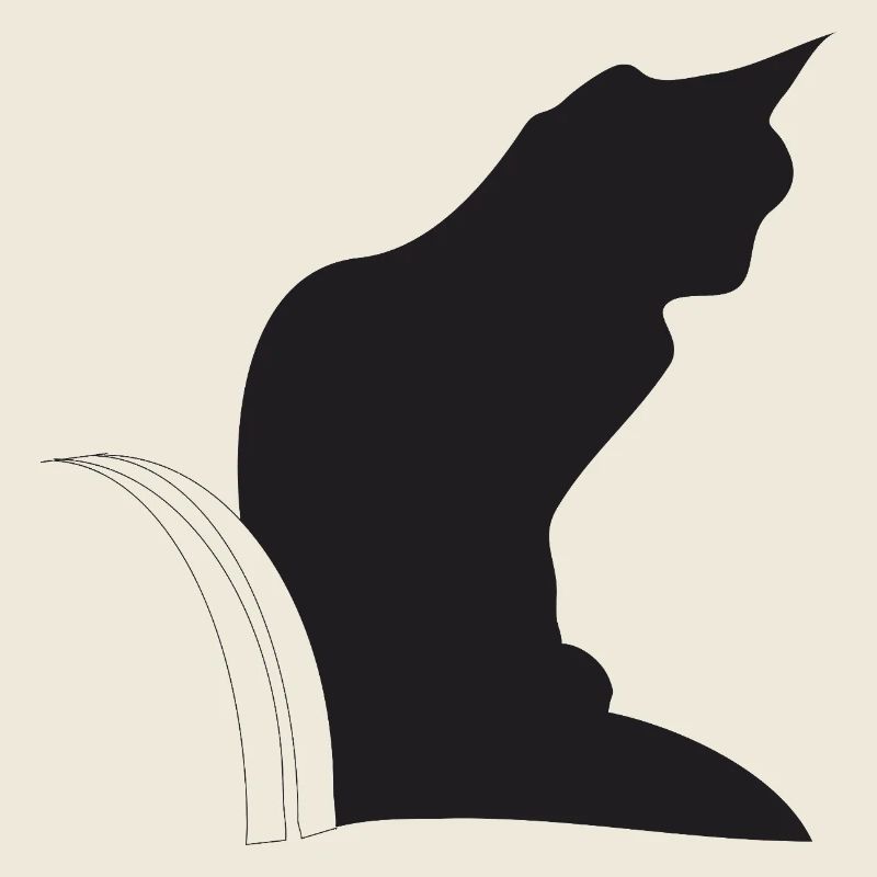 Nemo, schwarze Katz im Keller