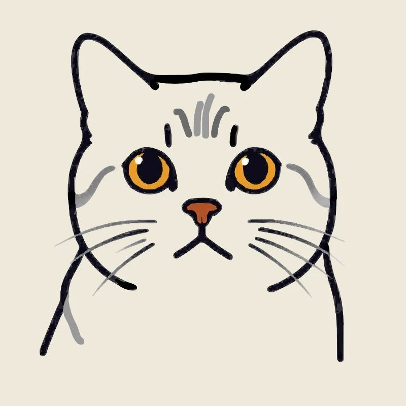 Kater Teodoro - Katzenkopf