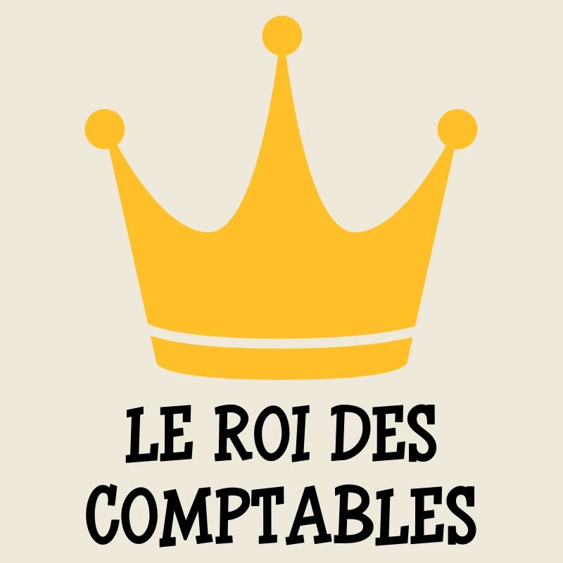 comptable / comptabilité / argent / Finance / Euro