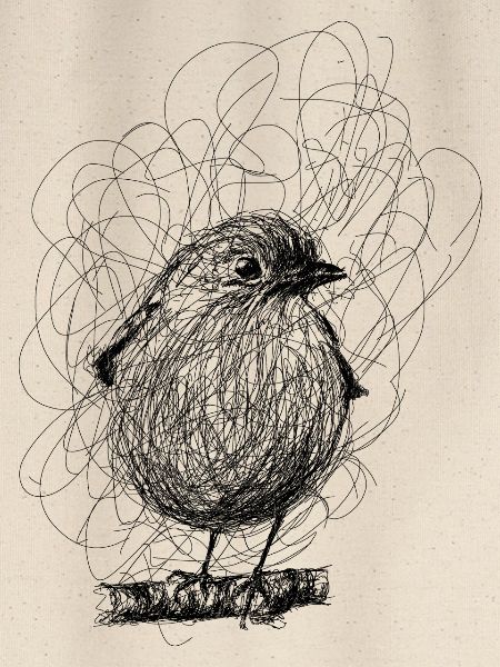 robin