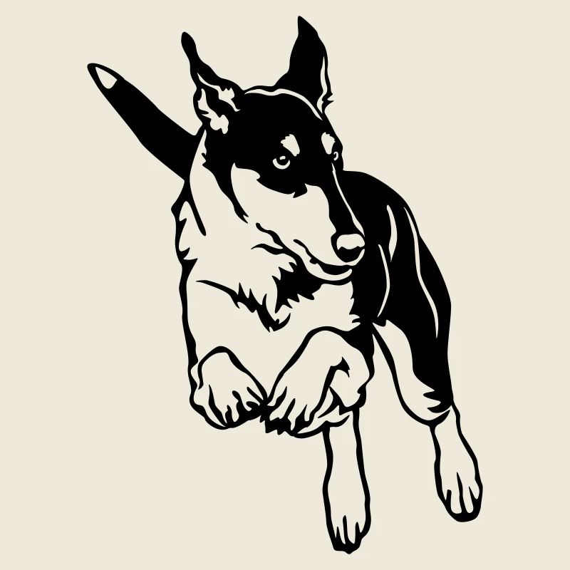 Collie