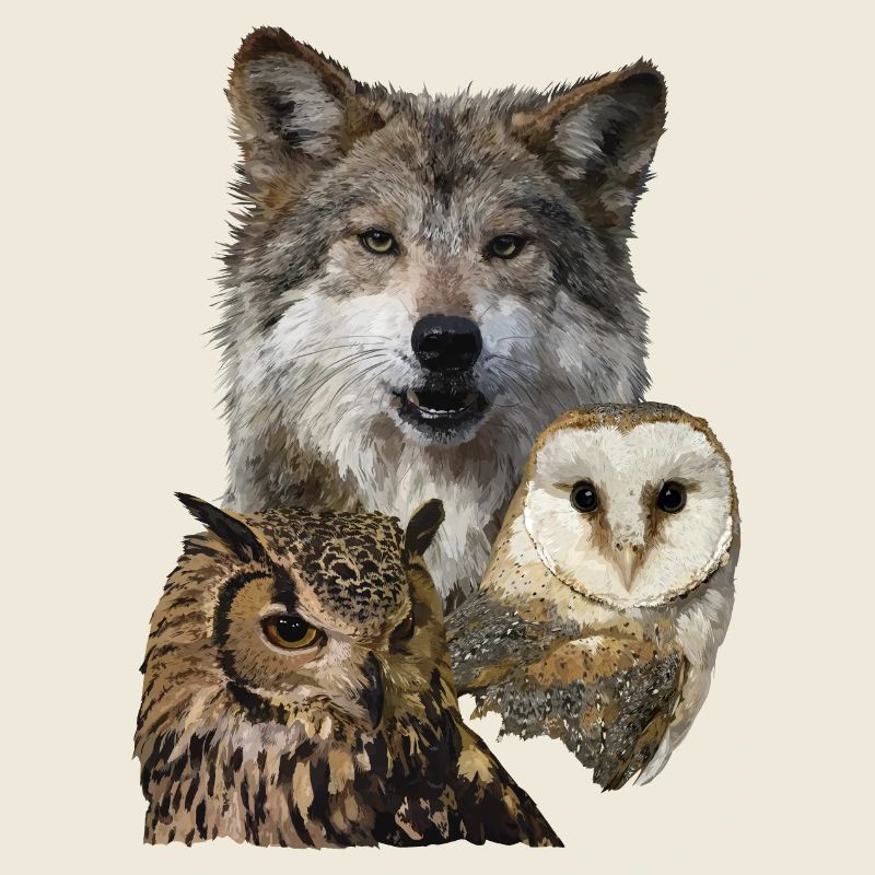 Wolf and Owls