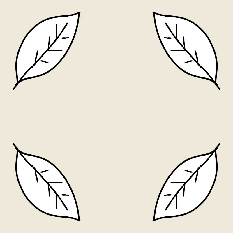 Feuille Quatre Feuilles Cadre Forme Nature
