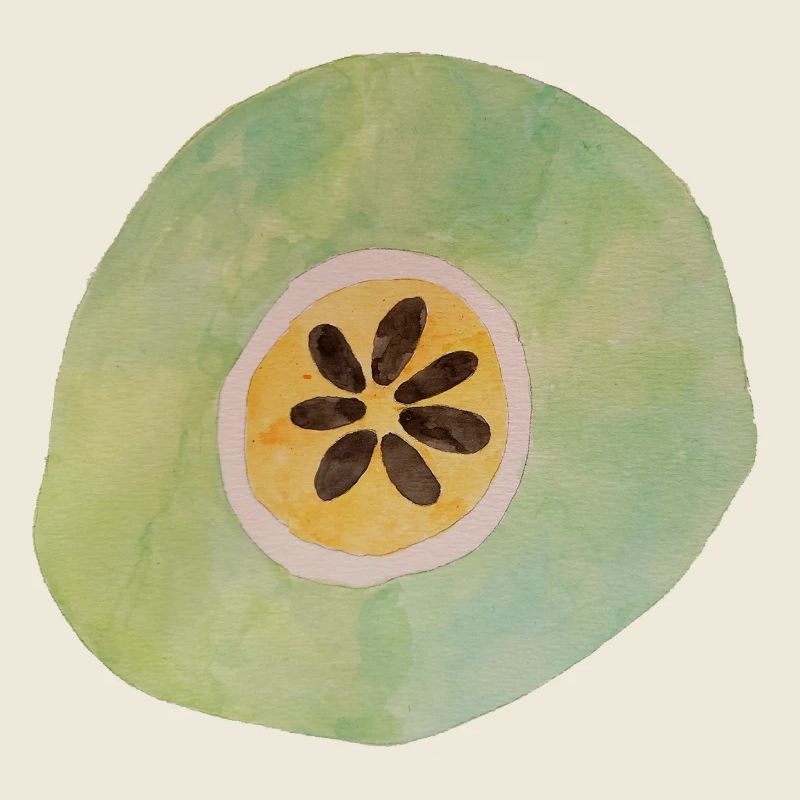 Giant Fruit 1
