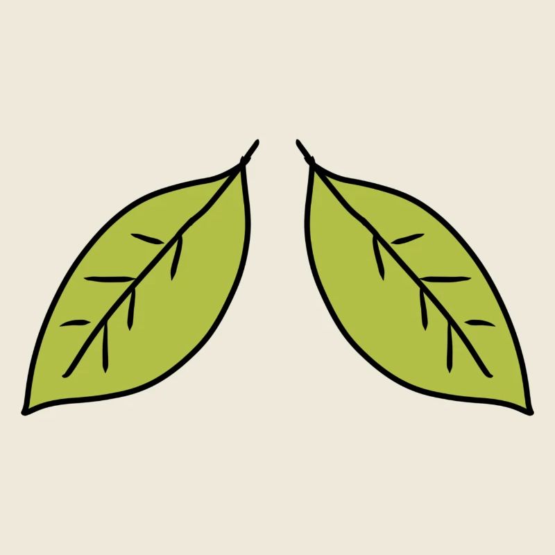 zwei Blätter blatt grün symbol