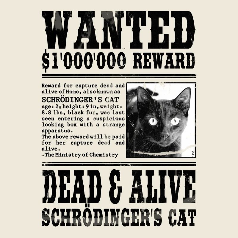 le chat de schrödinger noir