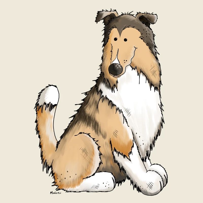 Collie Cleo