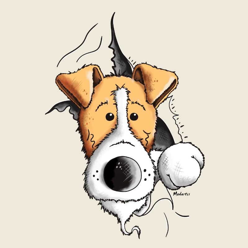 Finn der Foxterrier