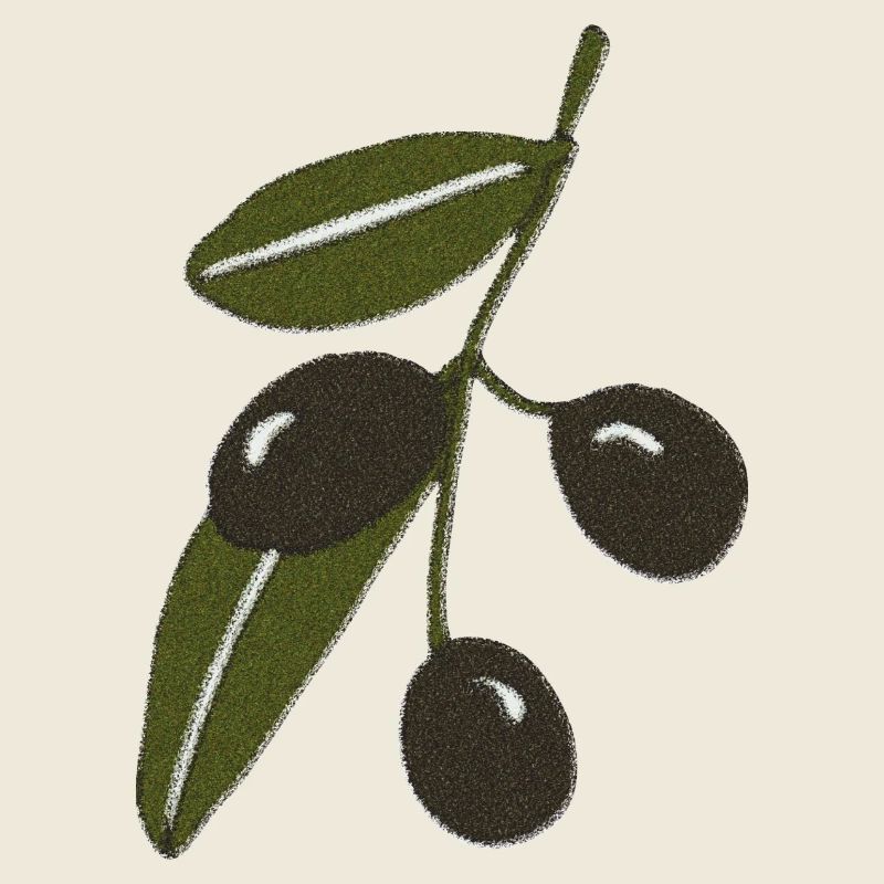 Olive Branch Impressionism